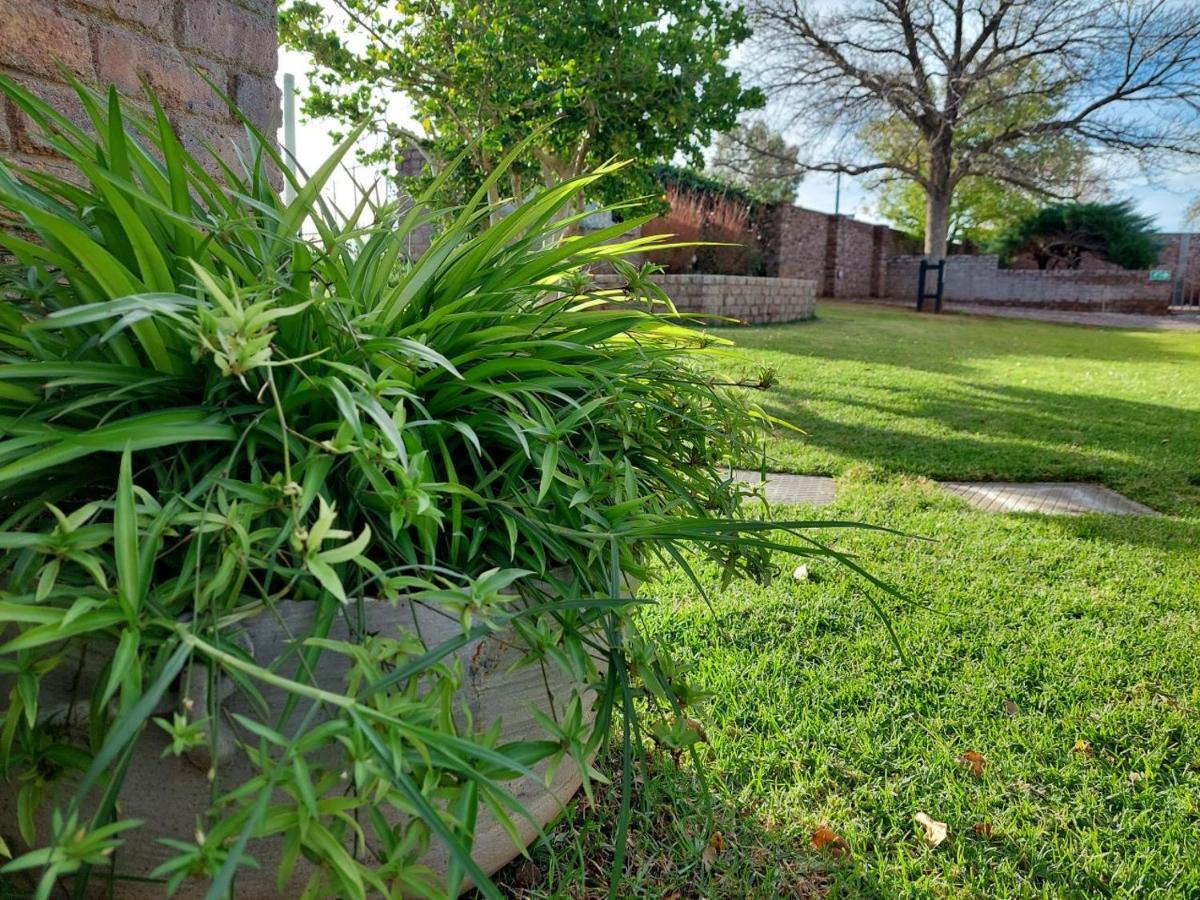 Aloes Guest House 62 On Meintjies Middelburg  エクステリア 写真